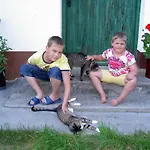 Gospodarstwo agroturystyczne Urlaub Am Bauernhof Wenigeder - Familie Klopf Gutau