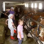 Urlaub Am Bauernhof Wenigeder - Familie Klopf Gutau