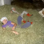 Agroturismo Urlaub Am Bauernhof Wenigeder - Familie Klopf Gutau