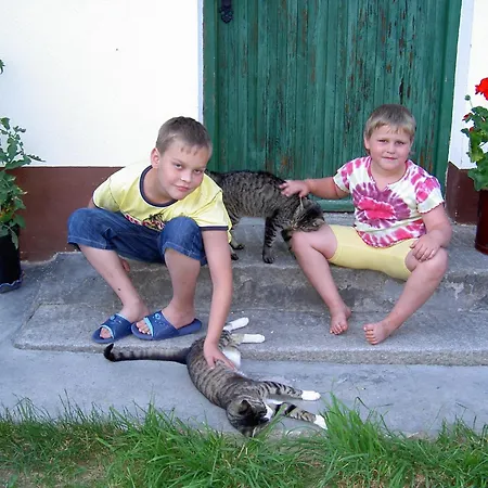 Çiftlik konaklama Urlaub Am Bauernhof Wenigeder - Familie Klopf Gutau