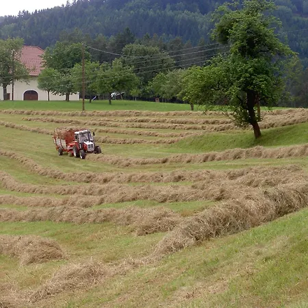 Çiftlik konaklama Urlaub Am Bauernhof Wenigeder - Familie Klopf