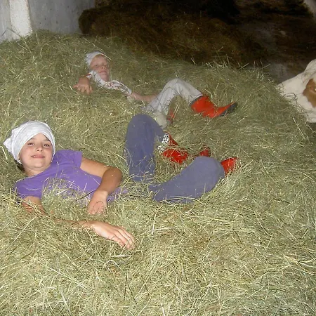 Çiftlik konaklama Urlaub Am Bauernhof Wenigeder - Familie Klopf Gutau