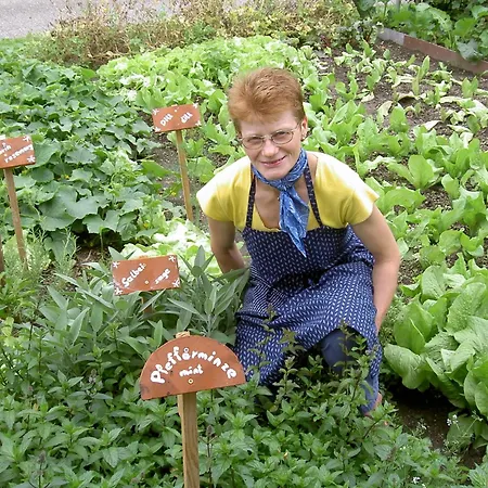 Gospodarstwo agroturystyczne Urlaub Am Bauernhof Wenigeder - Familie Klopf Gutau