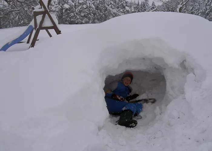 Фермерский дом Urlaub Am Bauernhof Wenigeder - Familie Klopf Gutau