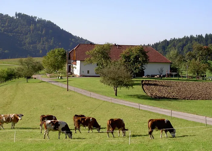 Фермерский дом Urlaub Am Bauernhof Wenigeder - Familie Klopf