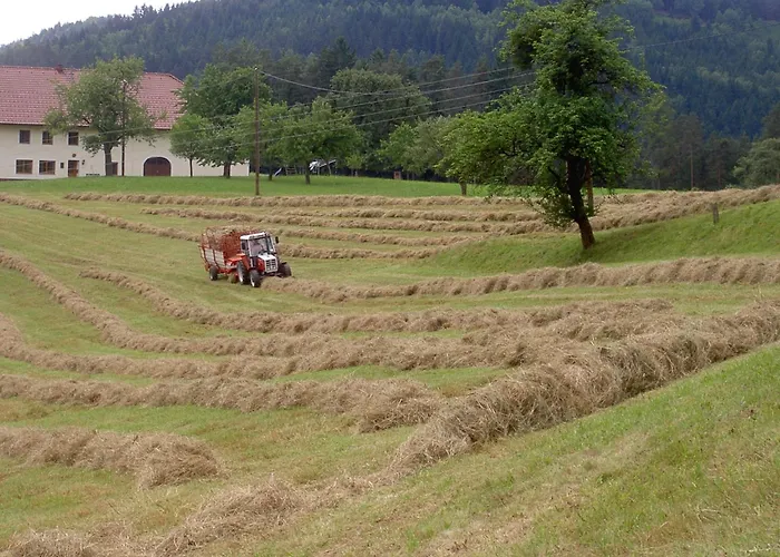 Фермерский дом Urlaub Am Bauernhof Wenigeder - Familie Klopf