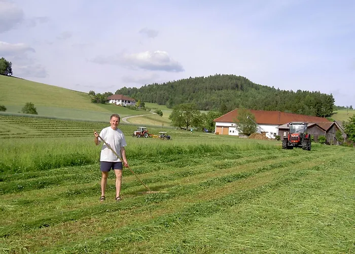 Фермерский дом Urlaub Am Bauernhof Wenigeder - Familie Klopf *