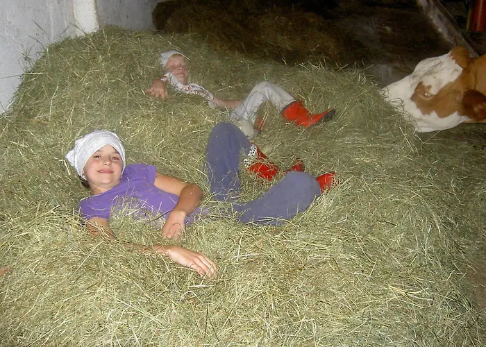 Фермерский дом Urlaub Am Bauernhof Wenigeder - Familie Klopf Gutau