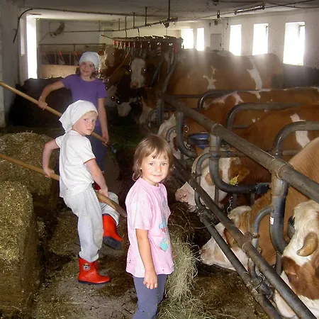 Urlaub Am Bauernhof Wenigeder - Familie Klopf Gutau
