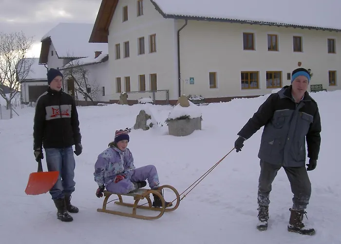 Urlaub Am Bauernhof Wenigeder - Familie Klopf Gutau