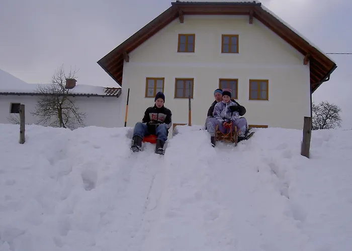 Κατάλυμα σε φάρμα Urlaub Am Bauernhof Wenigeder - Familie Klopf *