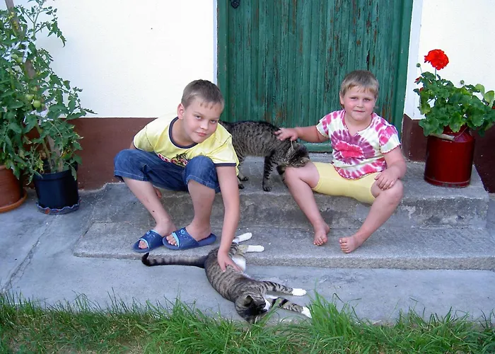 Κατάλυμα σε φάρμα Urlaub Am Bauernhof Wenigeder - Familie Klopf Gutau