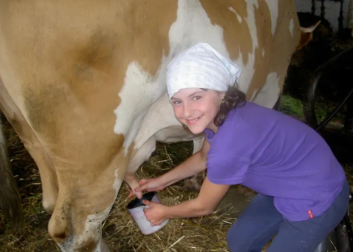Κατάλυμα σε φάρμα Urlaub Am Bauernhof Wenigeder - Familie Klopf