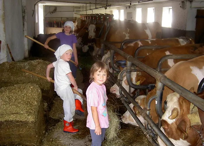 Urlaub Am Bauernhof Wenigeder - Familie Klopf Gutau