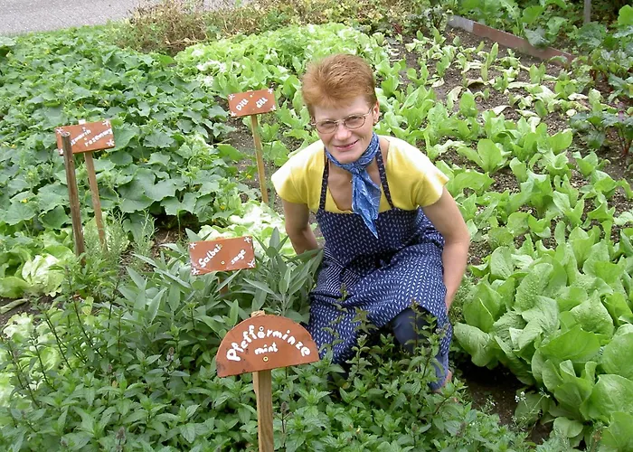 Κατάλυμα σε φάρμα Urlaub Am Bauernhof Wenigeder - Familie Klopf Gutau